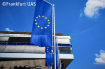 Forschung Onboarding