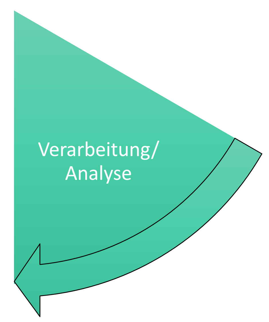 Verarbeitung und Analyse