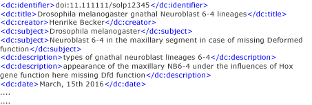 Beispiel für Metadaten nach Dublin Core Standard
